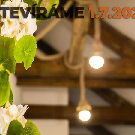 公寓 Apartmanovy Dum 13 Podkrovi 2