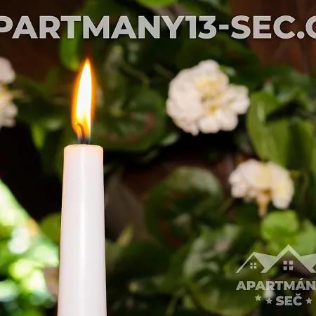 公寓 Apartmanovy Dum 13 Podkrovi 2 *